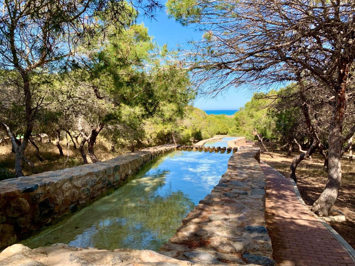 Your Holidays In La Mata Торрев'єха Екстер'єр фото