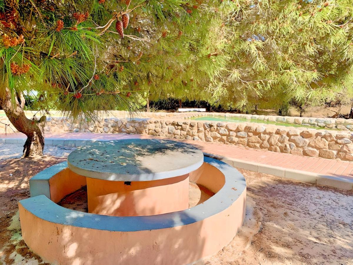 Your Holidays In La Mata Торрев'єха Екстер'єр фото